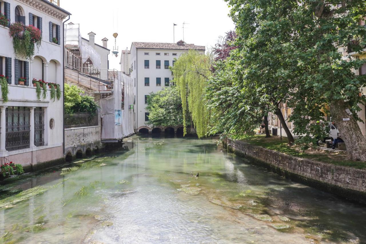 Treviso City Town 1 Esterno foto